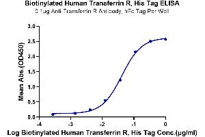 ELISA image for Transferrin Receptor (p90, CD71) (TFRC) (AA 89-760) protein (His-Avi Tag,Biotin) (ABIN7275703)