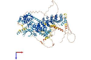 NIMA (Never in Mitosis Gene A)- Related Kinase 10 (NEK10) (AA 1-1172) protein (His tag)