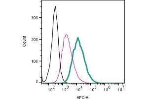 Cell surface detection of CX3CR1 by direct flow cytometry in live intact mouse  microglia cells: + Rabbit IgG Isotype Control-APC (ABIN7582043).