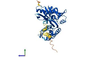 AlphaFold protein structure predicition of Human Recombinant HSPA7 Protein, UniprotID P48741 (HSPA7 Protein (AA 1-367) (His tag))