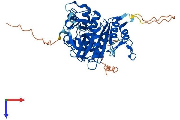 ATG4A Protein (AA 1-396) (His tag)