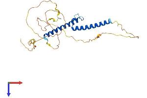 OLIG3 Protein (AA 1-272) (His tag)