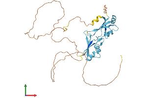 Protein Structure (PS) image for Heterogeneous Nuclear Ribonucleoprotein H3 (2H9) (HNRNPH3) (AA 1-346) protein (His tag) (ABIN7548349)