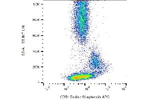 Flow cytometry analysis of CD54 in normal human peripheral blood using anti-CD54 (1H4) biotin.