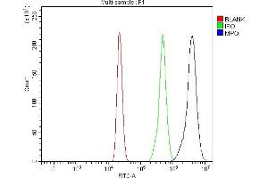 Flow Cytometry analysis of HL-60 cells using anti-MPO antibody (ABIN7602030). (Myeloperoxidase Antikörper  (AA 556-697))