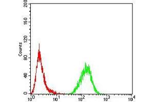 Flow Cytometry (FACS) image for anti-Methyl CpG Binding Protein 2 (MECP2) (AA 7-148) antibody (ABIN5889789) (MECP2 Antikörper  (AA 7-148))