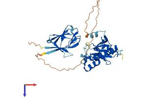 Aprataxin Protein (APTX) (AA 1-342) (His tag)