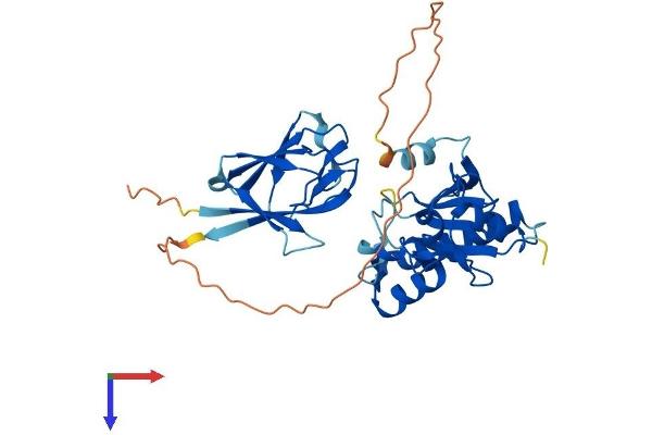 Aprataxin Protein (APTX) (AA 1-342) (His tag)