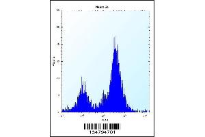Flow Cytometry (FACS) image for anti-Interleukin-1 Receptor-Associated Kinase 1 (IRAK1) (AA 405-433) antibody (ABIN5534425)