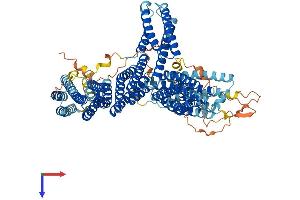 CTNNA2 Protein (AA 1-953) (His tag)