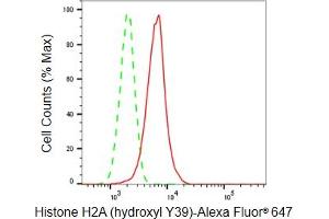 Flow cytometric analysis of Histone H2A (hydroxyl Y39) expression in HepG2 cells using Histone H2A (hydroxyl Y39) antibody (ABIN7798941), 1:2,000). (Rekombinanter Histone H2A Antikörper  (H2AY39oh))