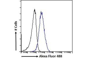 (ABIN5539467) Flow cytometric analysis of paraformaldehyde fixed HeLa cells (blue line), permeabilized with 0. (Aryl Hydrocarbon Receptor Antikörper  (Internal Region))