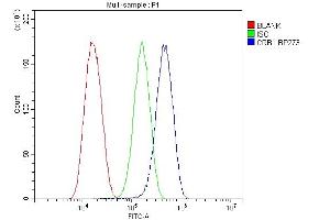 Flow Cytometry analysis of U87 cells using anti-CRB1 antibody (ABIN6719658).