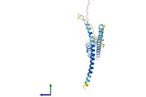 Protein Structure (PS) image for Coiled-Coil Domain Containing 43 (CCDC43) (AA 1-224) protein (His tag) (ABIN7553253)