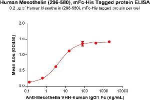 ELISA image for Mesothelin (MSLN) (AA 296-580) protein (mFc-His Tag) (ABIN6961104)
