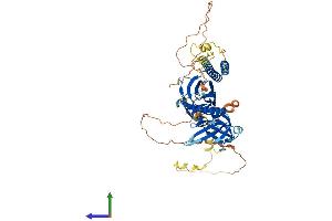 AlphaFold protein structure predicition of Mouse Recombinant Rtkn Protein, UniprotID Q8C6B2 (Rhotekin Protein (RTKN) (AA 1-564) (His tag))