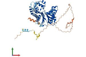 Protein Structure (PS) image for TGF-beta Activated Kinase 1/MAP3K7 Binding Protein 1 (TAB1) (AA 1-502) protein (His tag) (ABIN7559296)