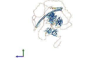 Protein Structure (PS) image for RIMS Binding Protein 2 (RIMBP2) (AA 1-1072) protein (His tag) (ABIN7564250)