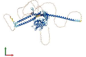 Protein Structure (PS) image for Tousled-Like Kinase 1 (TLK1) (AA 1-766) protein (His tag) (ABIN7564489)