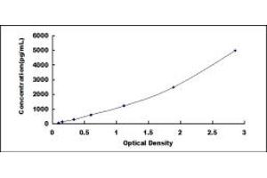 Typical standard curve (TCN2 ELISA Kit)