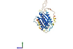 Protein Structure (PS) image for HORMA Domain Containing 2 (HORMAD2) (AA 1-307) protein (His tag) (ABIN7548368)