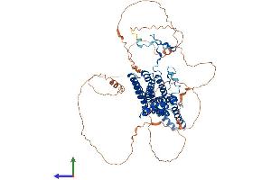AlphaFold protein structure predicition of Mouse Recombinant Best3 Protein, UniprotID Q6H1V1