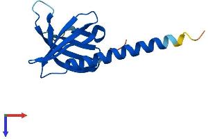 PHLDA3 Protein (AA 1-127) (His tag)