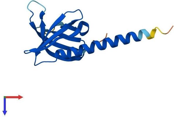 PHLDA3 Protein (AA 1-127) (His tag)