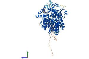 Protein Structure (PS) image for DEAH (Asp-Glu-Ala-His) Box Polypeptide 32 (DHX32) (AA 1-744) protein (His tag) (ABIN7559054)