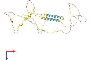 BSND Protein (AA 1-307) (His tag)