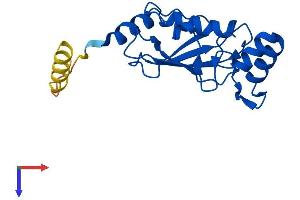 UBE2M Protein (AA 1-183) (His tag)