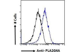 ABIN571180 Flow cytometric analysis of paraformaldehyde fixed A549 cells (blue line), permeabilized with 0. (PLA2G4A Antikörper  (Internal Region))