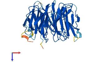 GBL Protein (AA 1-326) (His tag)
