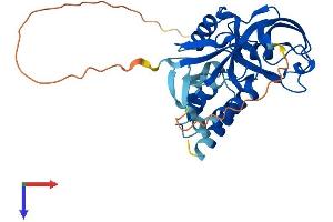 GIPC2 Protein (AA 1-315) (His tag)