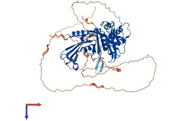 USP21 Protein (AA 1-565) (His tag)