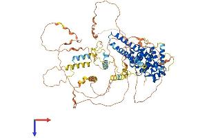 PATL1 Protein (AA 1-770) (His tag)