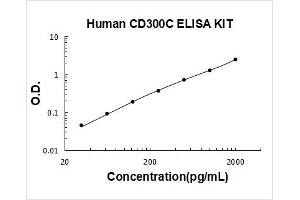 CD300c (CD300C) ELISA Kit
