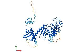 Protein Structure (PS) image for Suppressor of Variegation 3-9 Homolog 2 (Drosophila) (SUV39H2) (AA 1-410) protein (His tag) (ABIN7555673)