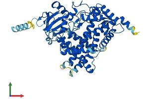 Protein Structure (PS) image for Cytochrome P450, Family 17, Subfamily A, Polypeptide 1 (CYP17A1) (AA 1-507) protein (His tag) (ABIN7563031)