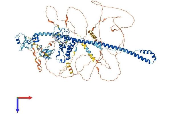 TRIM24 Protein (AA 1-1051) (His tag)