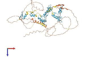 ZNF652 Protein (AA 1-606) (His tag)