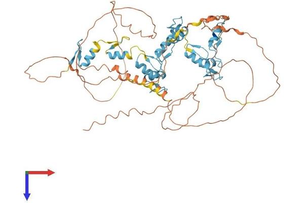 ZNF652 Protein (AA 1-606) (His tag)