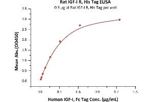 Immobilized Rat IGF-I R, His Tag (ABIN6253207,ABIN6253547) at 5 μg/mL (100 μL/well) can bind Human IGF-I, Fc Tag (ABIN2181263,ABIN2181262) with a linear range of 0.