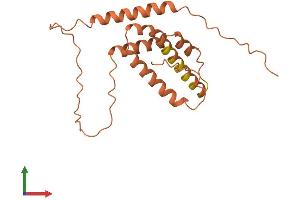 AlphaFold protein structure predicition of Human Recombinant IDI2-AS1 Protein, UniprotID Q9NZ38