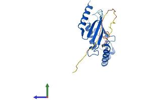 Protein Structure (PS) image for Ubiquitin-Conjugating Enzyme E2T (Ube2t) (AA 1-197) protein (His tag) (ABIN7544917)