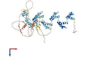 AlphaFold protein structure predicition of Human Recombinant ZNF304 Protein, UniprotID Q9HCX3
