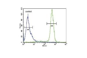 SCN1B Antibody (N-Term) (ABIN654602 and ABIN2844301) flow cytometric analysis of Hela cells (right histogram) compared to a negative control cell (left histogram). (SCN1B Antikörper  (N-Term))