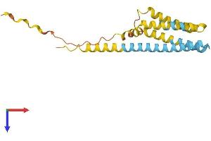 CMTM3 Protein (AA 1-184) (His tag)