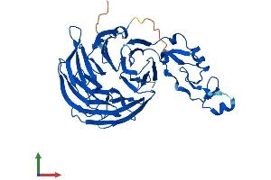 Protein Structure (PS) image for WD Repeat and FYVE Domain Containing 1 (WDFY1) (AA 1-410) protein (His tag) (ABIN7545089)