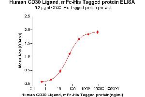 ELISA image for Tumor Necrosis Factor (Ligand) Superfamily, Member 8 (TNFSF8) protein (mFc-His Tag) (ABIN6961111)